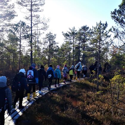 Teiču dabas rezervātā, purvu iepazīstot ( sākumskolas klases)